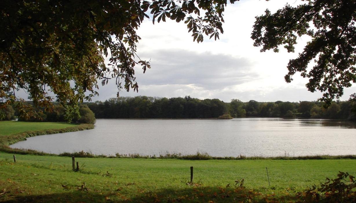 Erdgeschoss-Appartement Mit Seeterasse Ahrensbok Exteriér fotografie